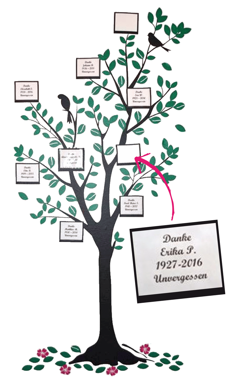 NPH Österreich Gedenkbaum: Testamentsspende für Kinder Lateinamerika´